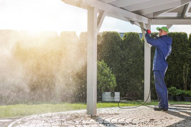 Best Driveway Cleaning and Restoration in Raymond, WI